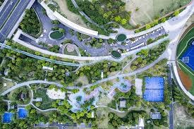 终究还是职业！最后一支民间战队被淘汰，第五人格COA6正戏开始了