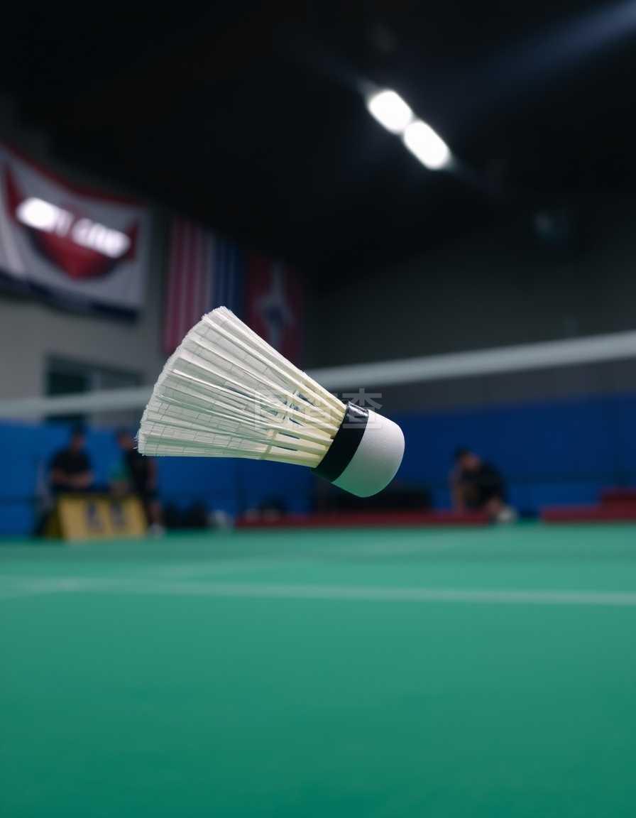 随着新帅的 随着新帅的